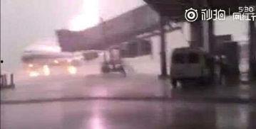 飞机最新爆料视频网  第1张