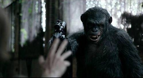 猿族崛起2在线观看,进化之战在线观影指南  第1张